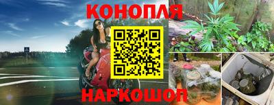 прущая мука Аргун