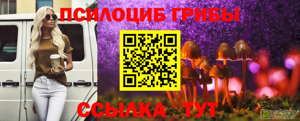 Галлюциногенные грибы мицелий  Галлюциногенные грибы GOLDEN TEACHER  Выборг  Вход с VPN 