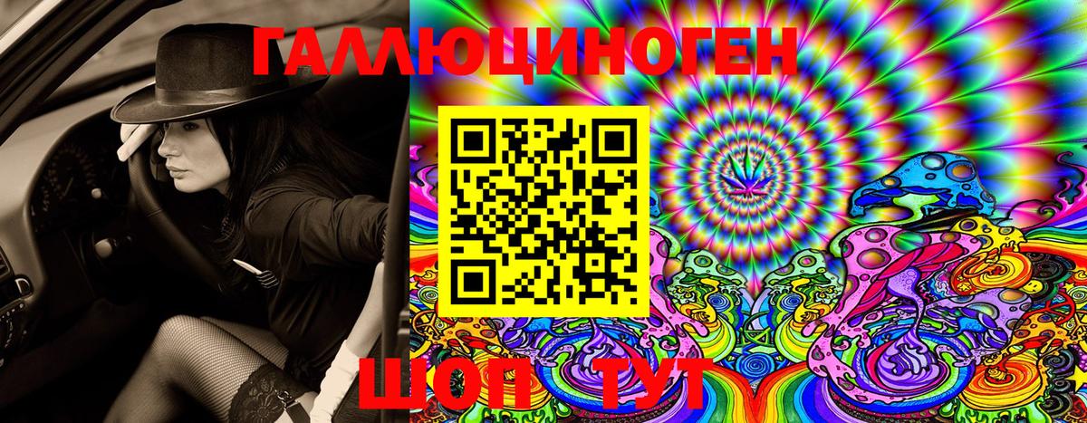 Галлюциногенные грибы Cubensis Выборг